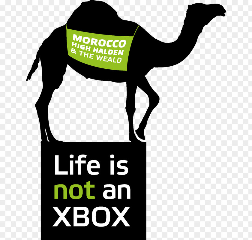 Birthday Roblox Dromedary Xbox One Party PNG