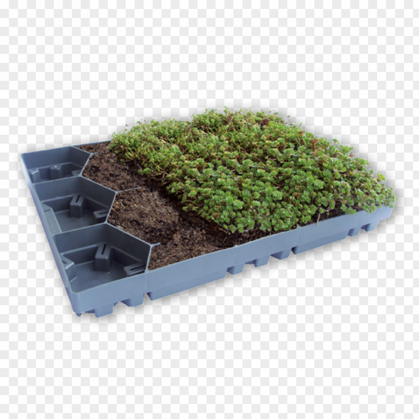 Green Roof Window Blinds & Shades Plastic Flat PNG