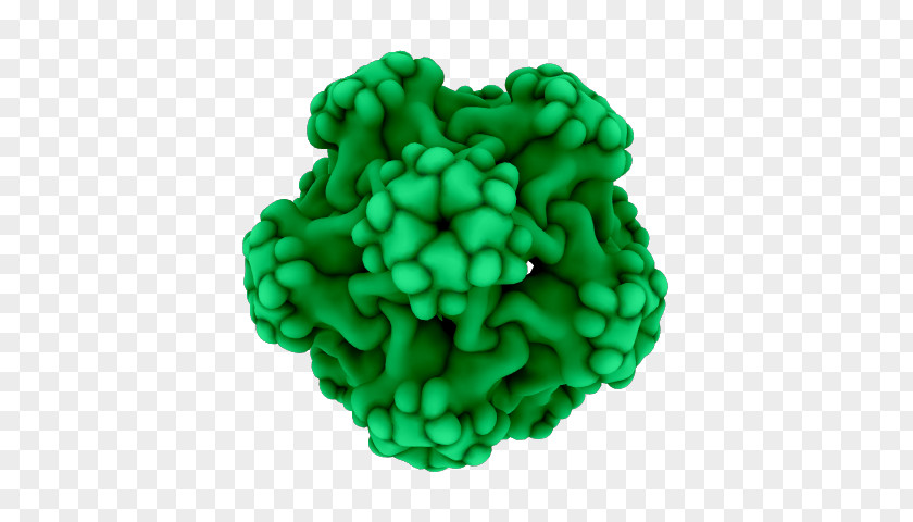 Human Papilloma Virus Turquoise Organism PNG