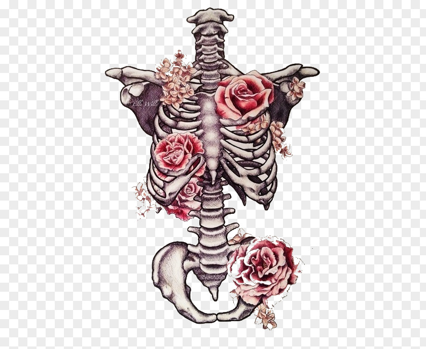 Skeleton Drawing Human Flower Art PNG