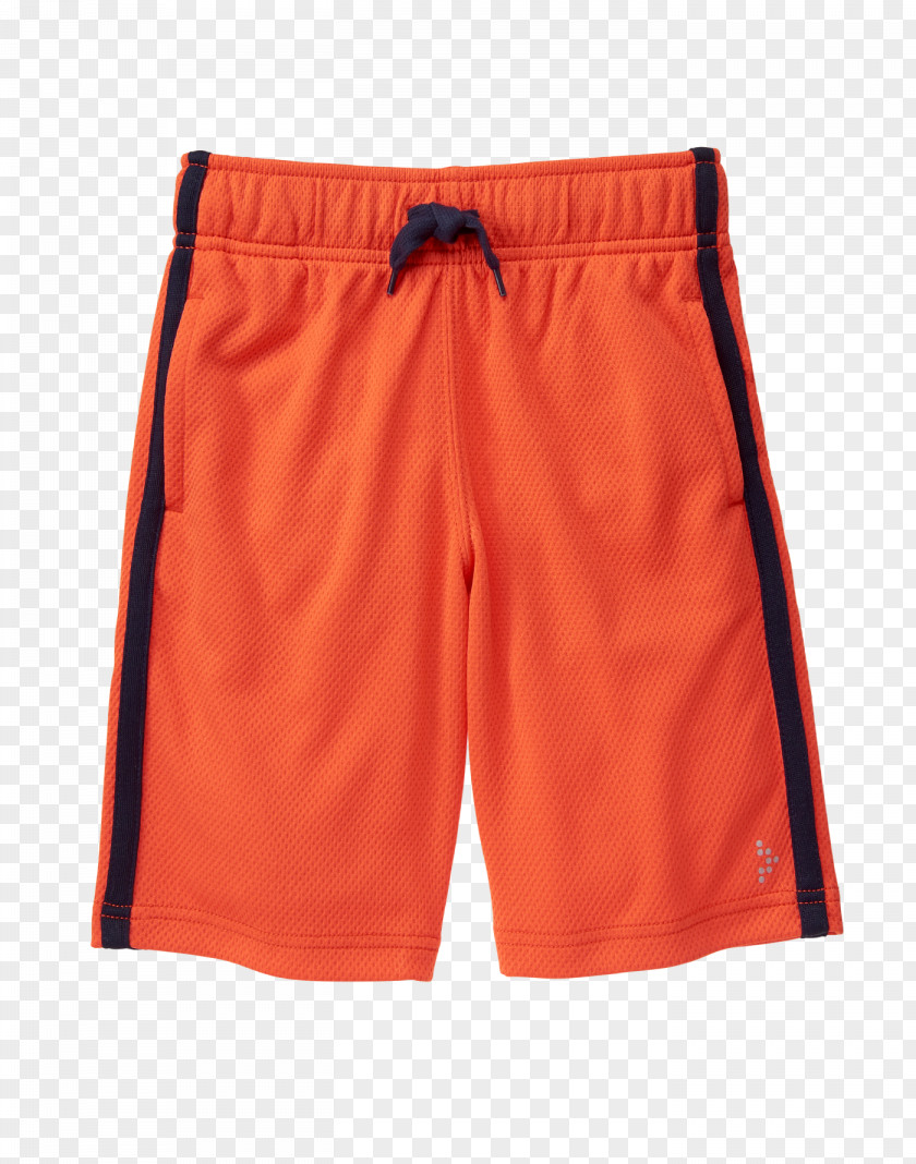 Swim Briefs Trunks Bermuda Shorts Underpants PNG