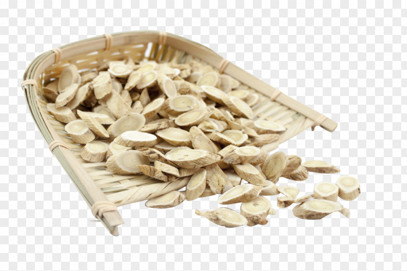Astragalus Business Traditional Chinese Medicine Herbology Crude Drug PNG