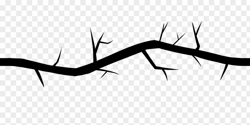 Branches Monochrome Photography Line Art PNG