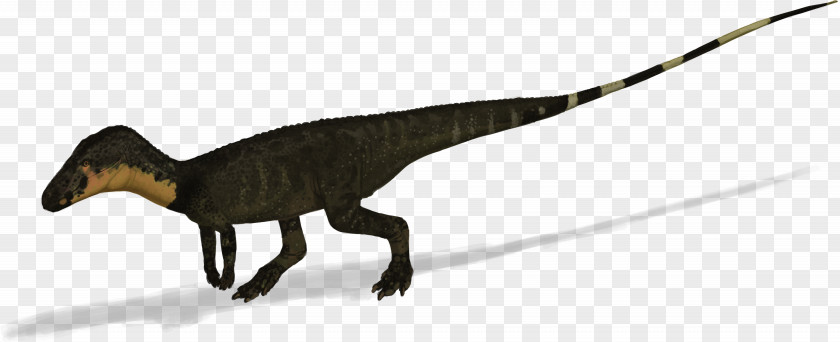 Dinosaur Velociraptor Poposaurus Tyrannosaurus Triassic PNG