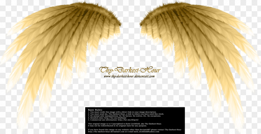 Heart Wing Angel Desktop Wallpaper Raster Graphics Editor PNG