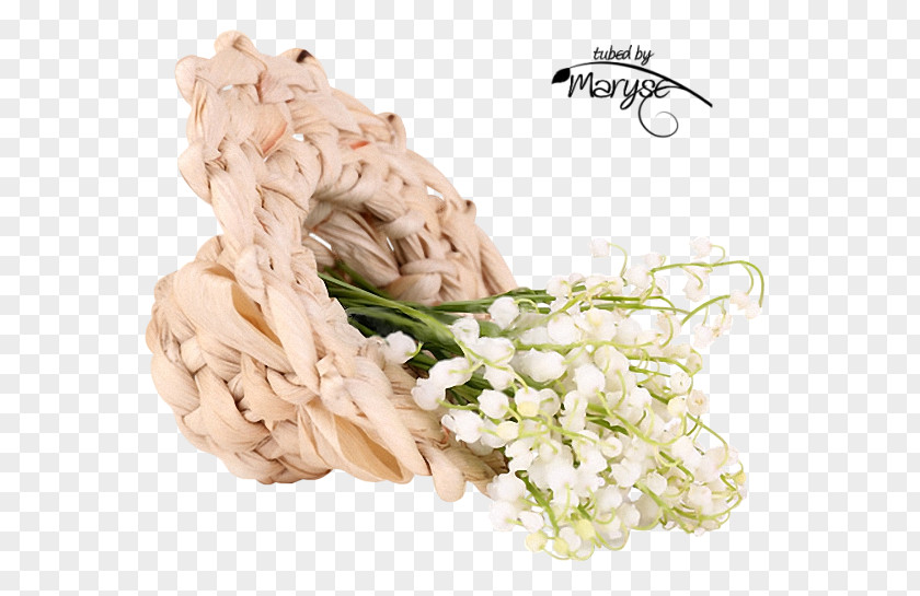 Lily Of The Valley Flower Oyster May 1 PaintShop Pro PNG