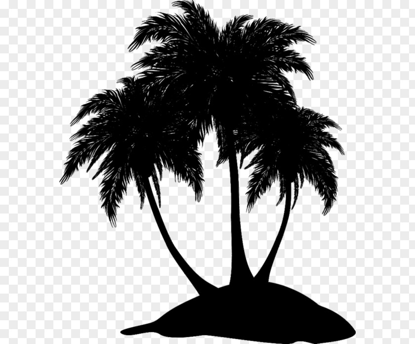 M Date Palm Leaf Silhouette Asian Palmyra Black & White PNG