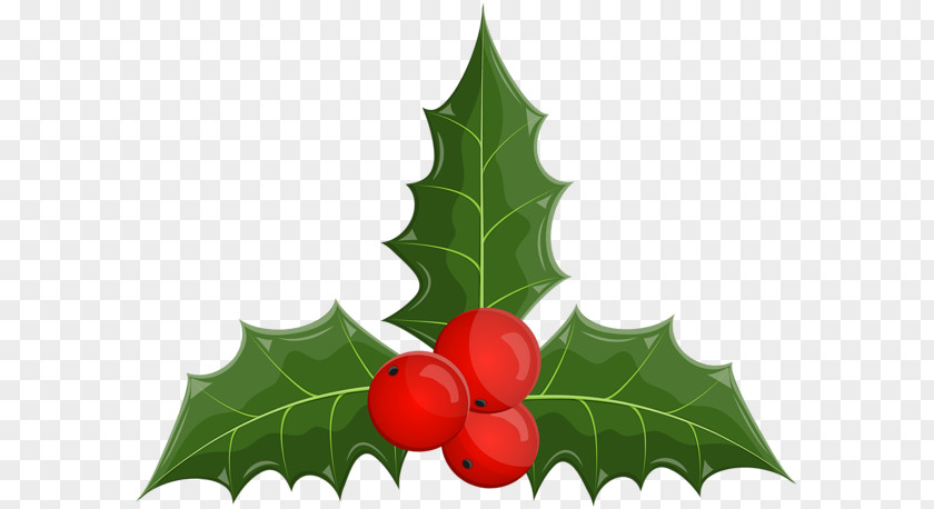 Merry Mistletoe Clip Art Image Common Holly Aquifoliales PNG