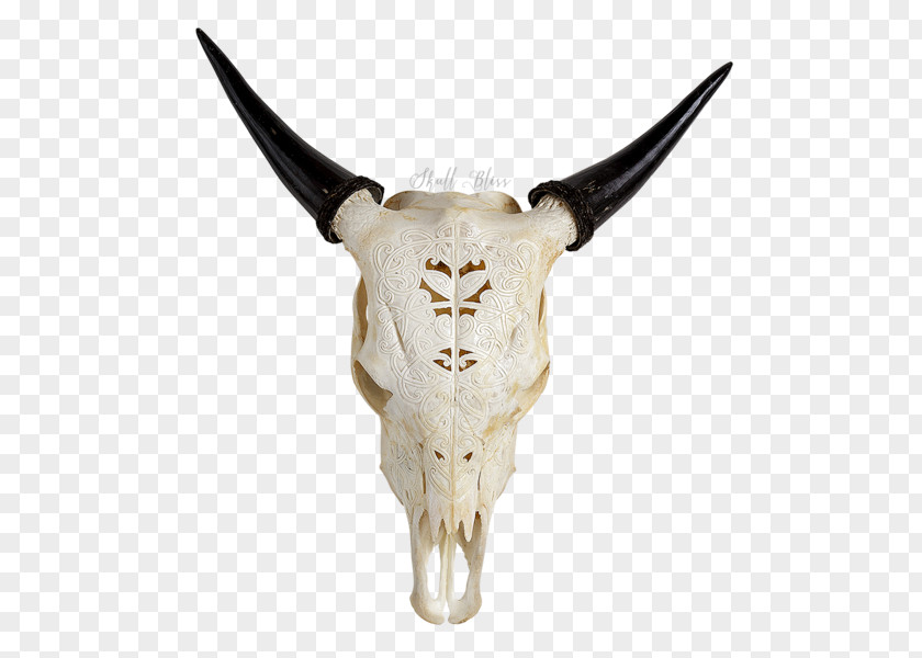 Skull Cattle XL Horns Turquoise PNG