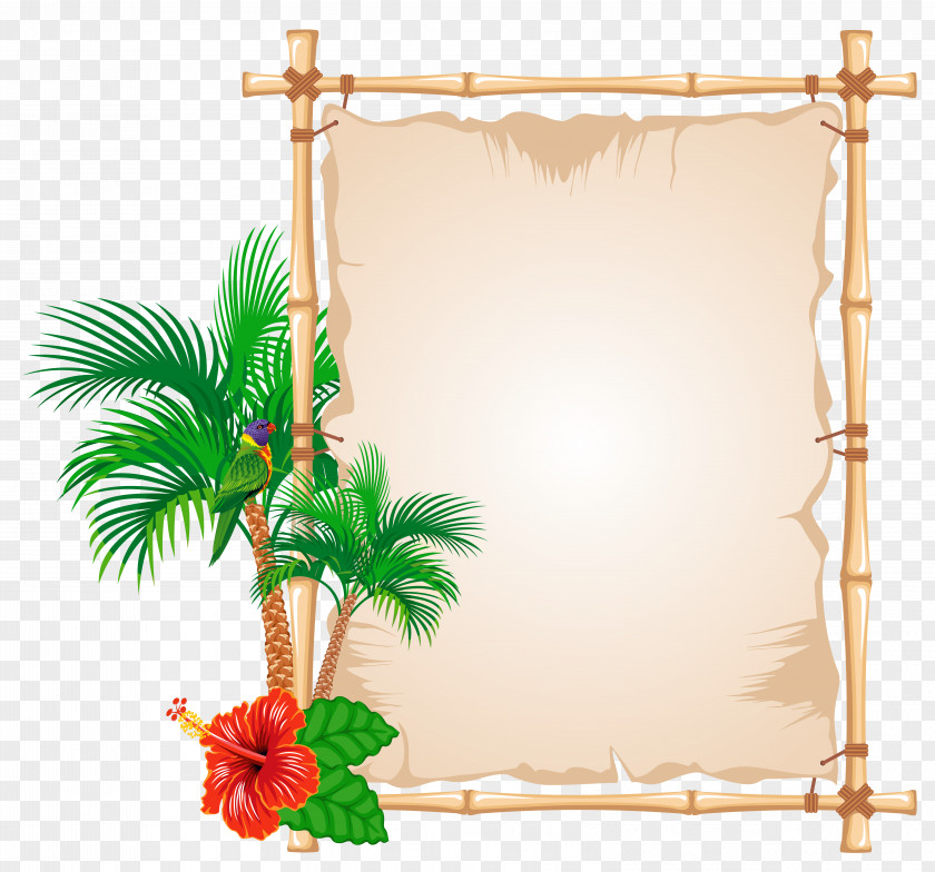Summer Papyrus Clipart Picture Frame Bambusodae Clip Art PNG