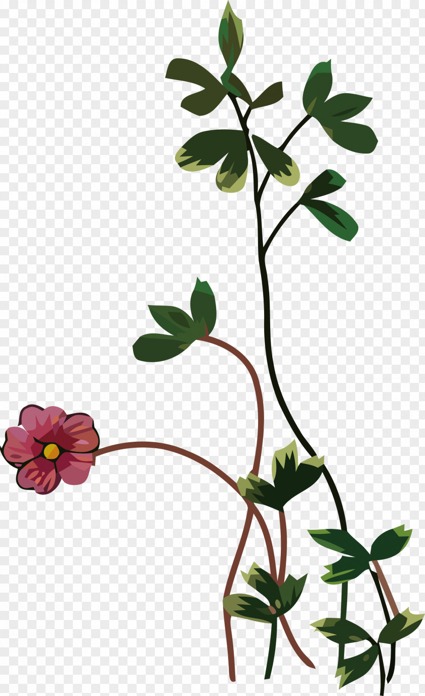 Floral Design PNG