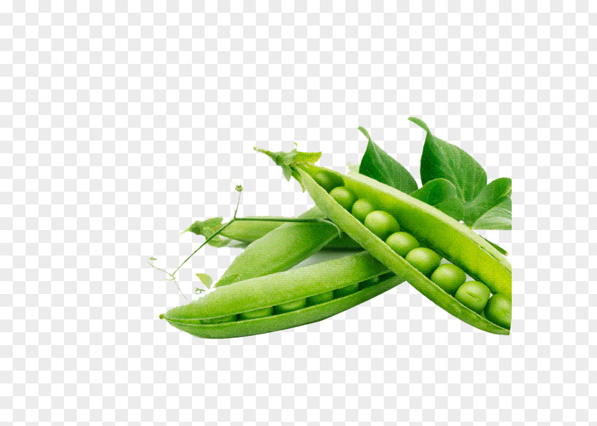 Green Peas Snap Pea Food Legume PNG