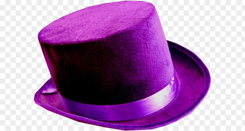 Hat Costume PNG