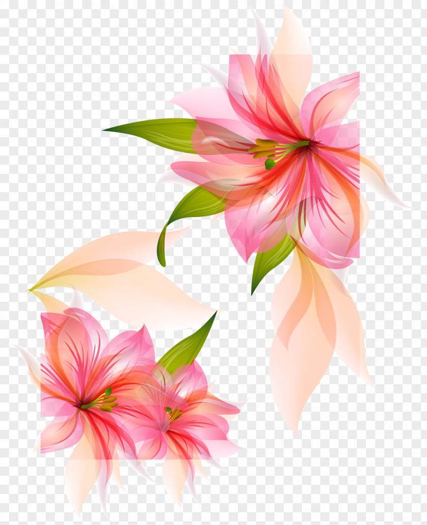 Small Flower Lilium Clip Art PNG