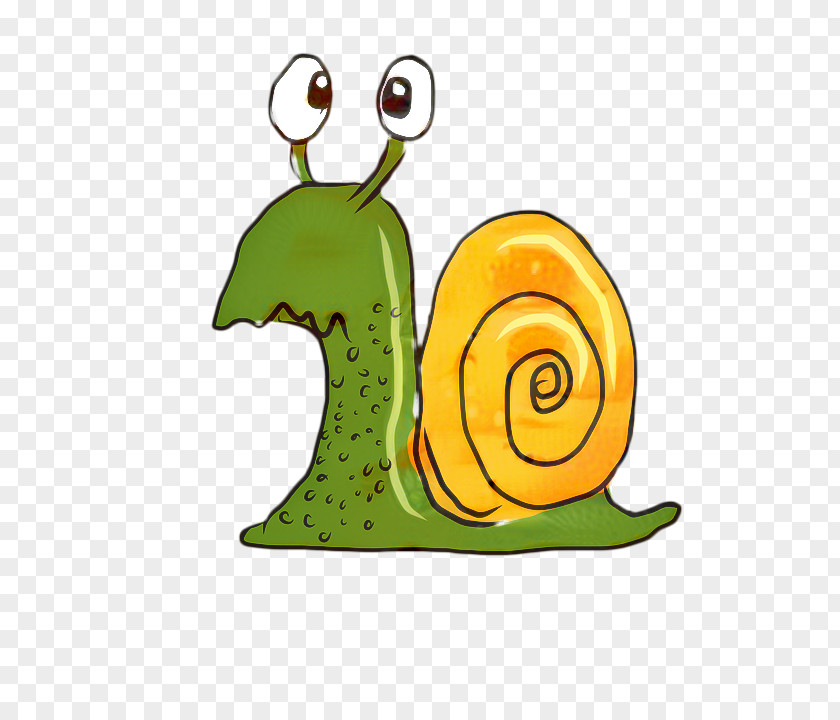 Symbol Sea Snail Cartoon PNG