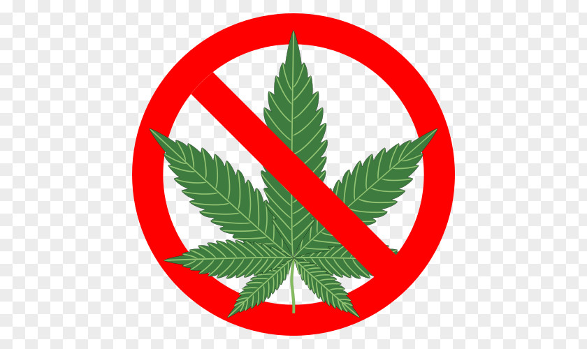 Cannabis Smoking Hemp Substance Intoxication Joint PNG
