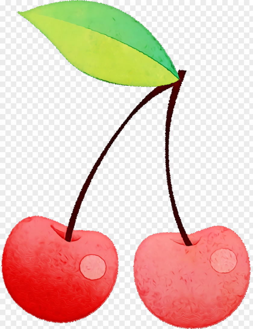 Cherry Fruit 2019 PNG