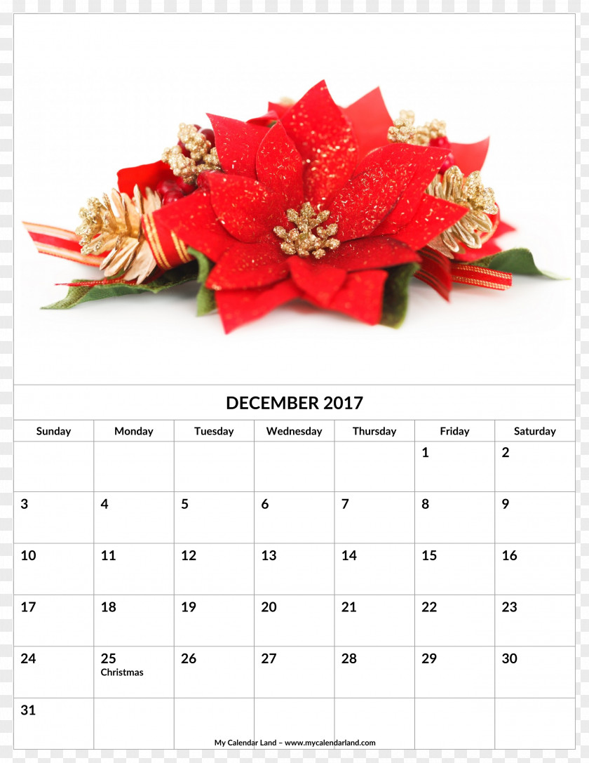 Christmas Advent Calendars 2017 MINI Cooper December PNG