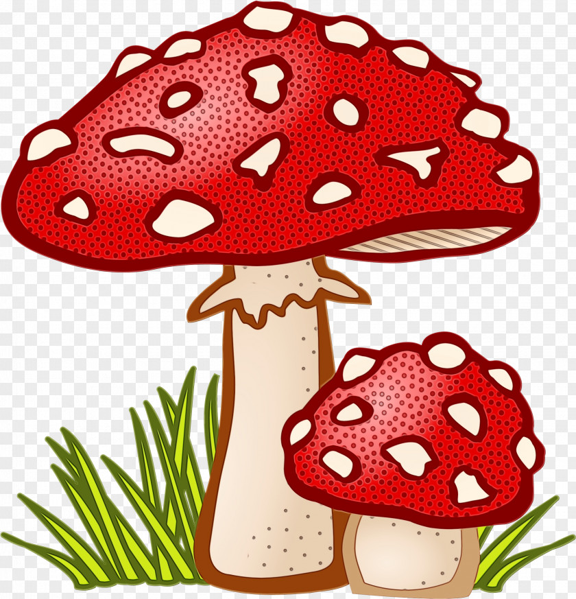 Fungus Mushroom Clip Art Agaric PNG