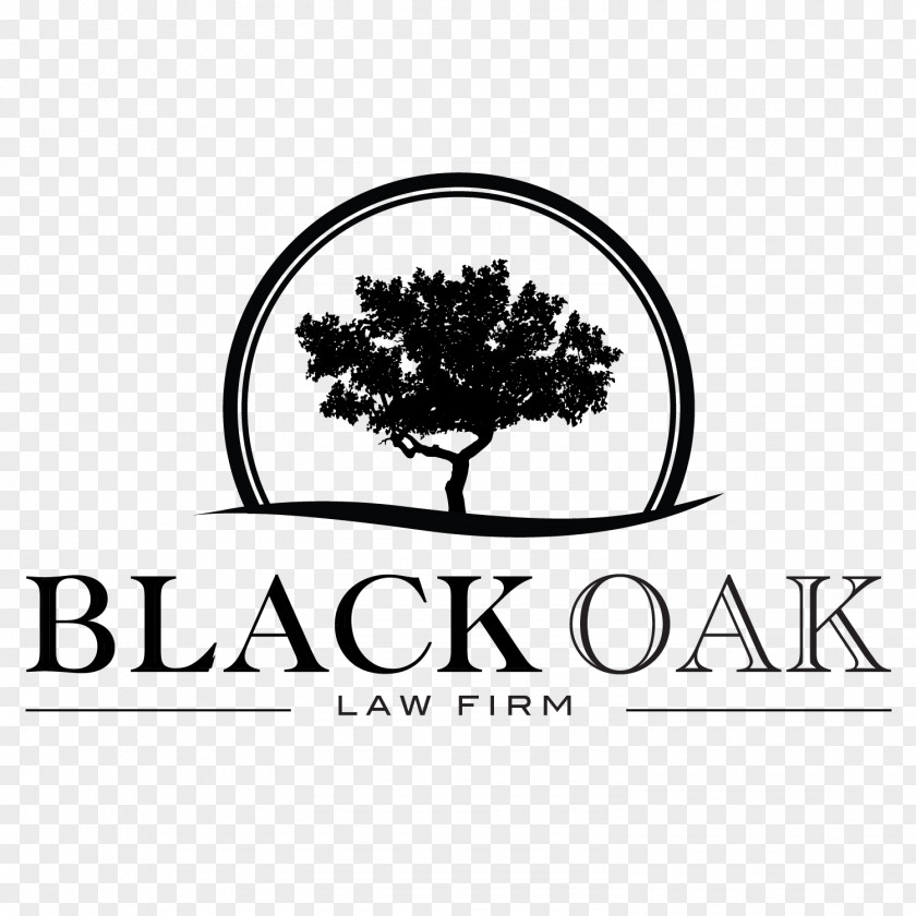 Oak Logo Quercus Velutina Tree Graphic Design PNG