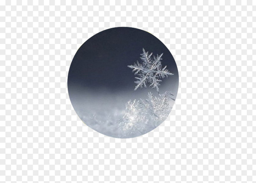 Snowflake Sheet Material Dongzhi Illustration PNG