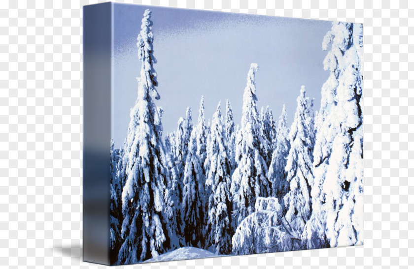 The Four Seasons Of Nature: Spring-Summer-Autumn-Winter / Photo Book Luontoretki: Pohjois-KarjalaMaisemiaLuonnon Taidetta North Karelia Nature Story SpruceSnow Forest Finland PNG