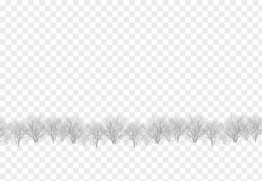 The White Winter Forest Black Angle Pattern PNG