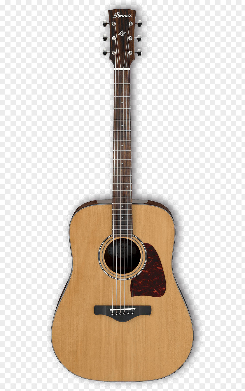 Guitar Twelve-string Acoustic Takamine Guitars String Instruments PNG