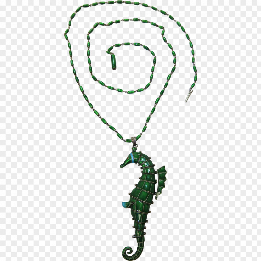 Seahorse Jewellery Syngnathiformes Necklace Chain PNG