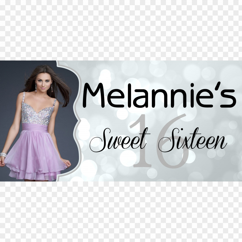 Sweet 15 Sixteen Vinyl Banners Birthday Printing PNG