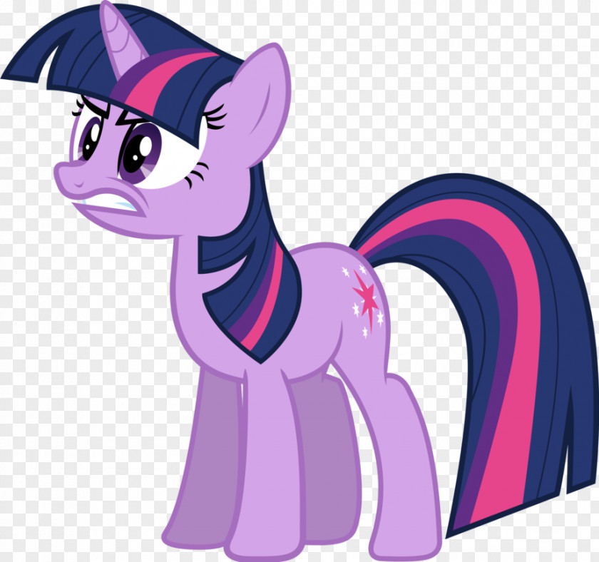 Twilight Sparkle Pinkie Pie Rarity Rainbow Dash Applejack PNG