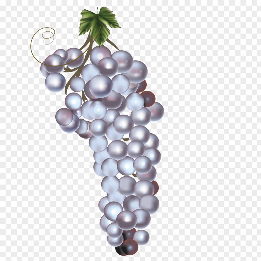 Vector Grape String ArtWorks PNG