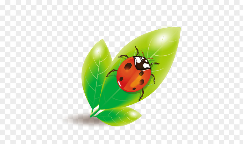Vector Material Ladybug Green Leaves Ladybird Euclidean PNG
