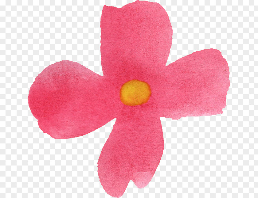 Watercolor Flower Cut Flowers Petal PNG