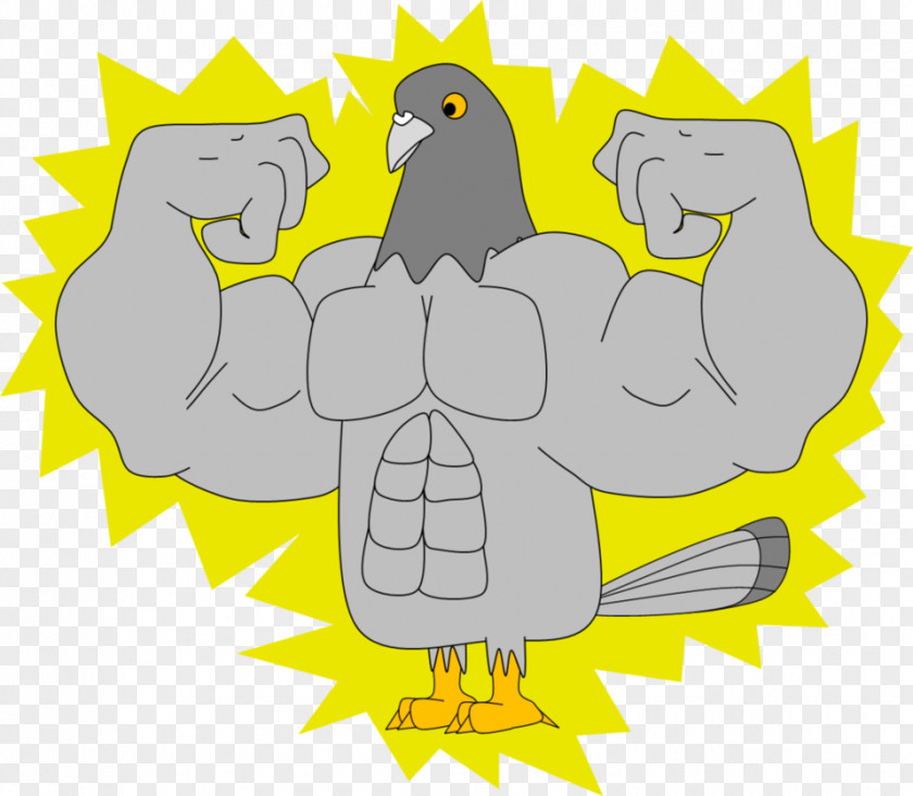 Pigeon Vector Muscle Bird Art Branched-chain Amino Acid PNG