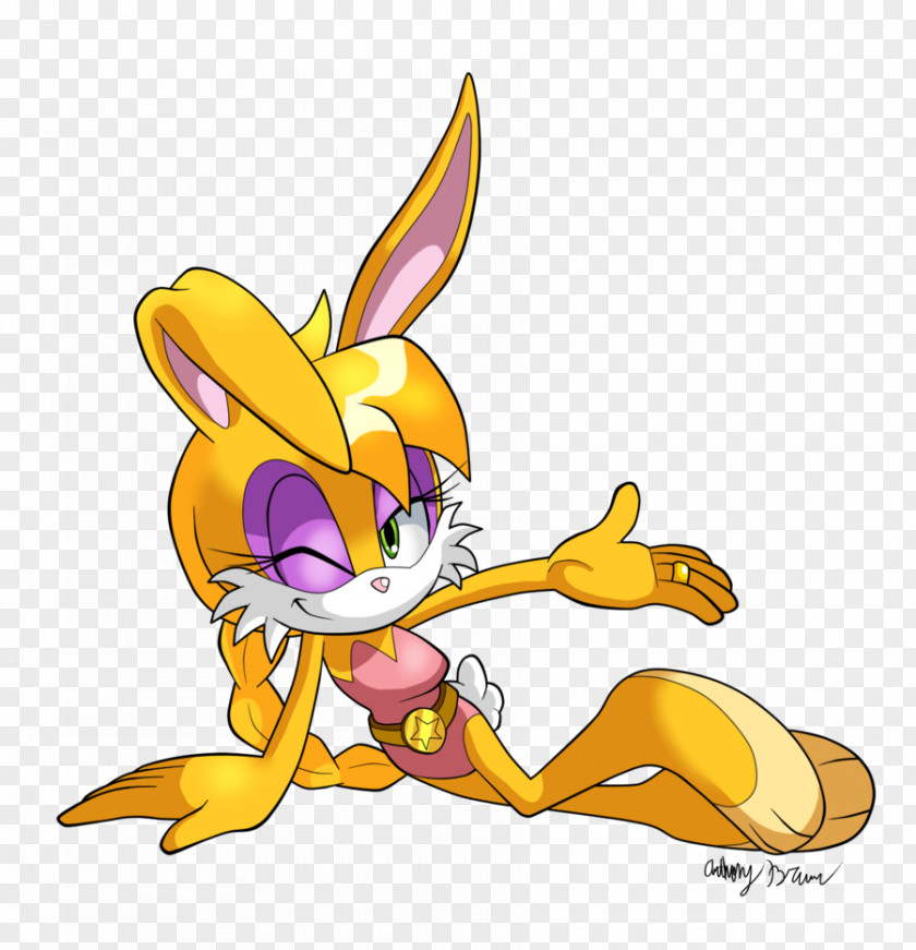 Rabbit Sonic The Hedgehog Tails Bunnie Rabbot Espio Chameleon PNG