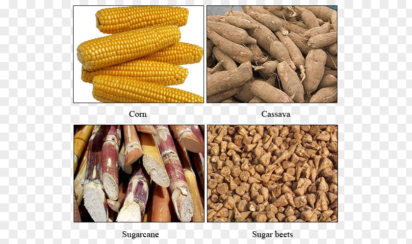 Second-generation Biofuels Raw Material Lignocellulosic Biomass Bioenergy PNG