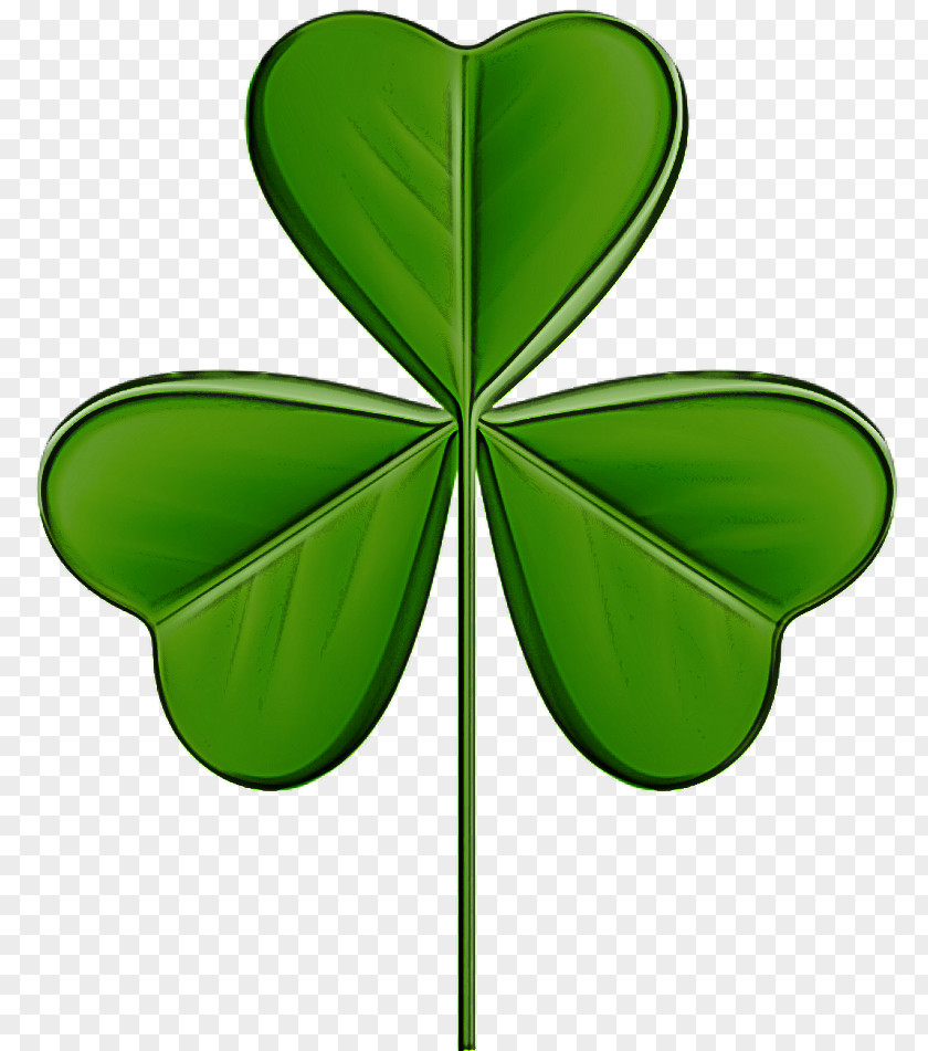 Shamrock PNG