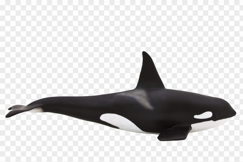 Toy Killer Whale Cetacea Doll Animal PNG