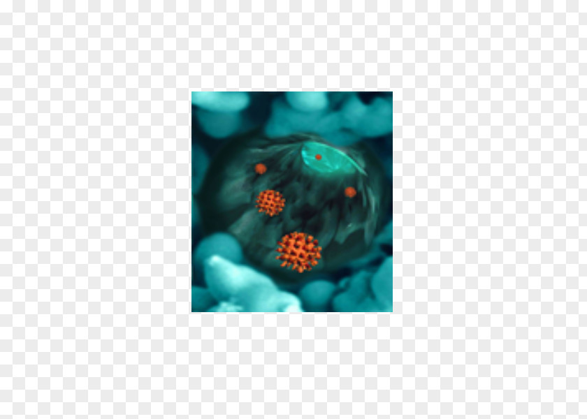 Virus C Turquoise Petal PNG