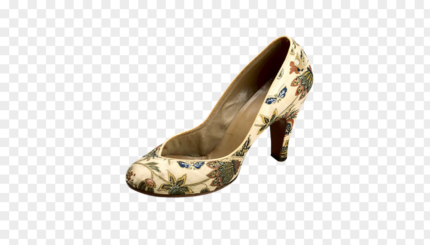 Zapato Pump Shoe PNG