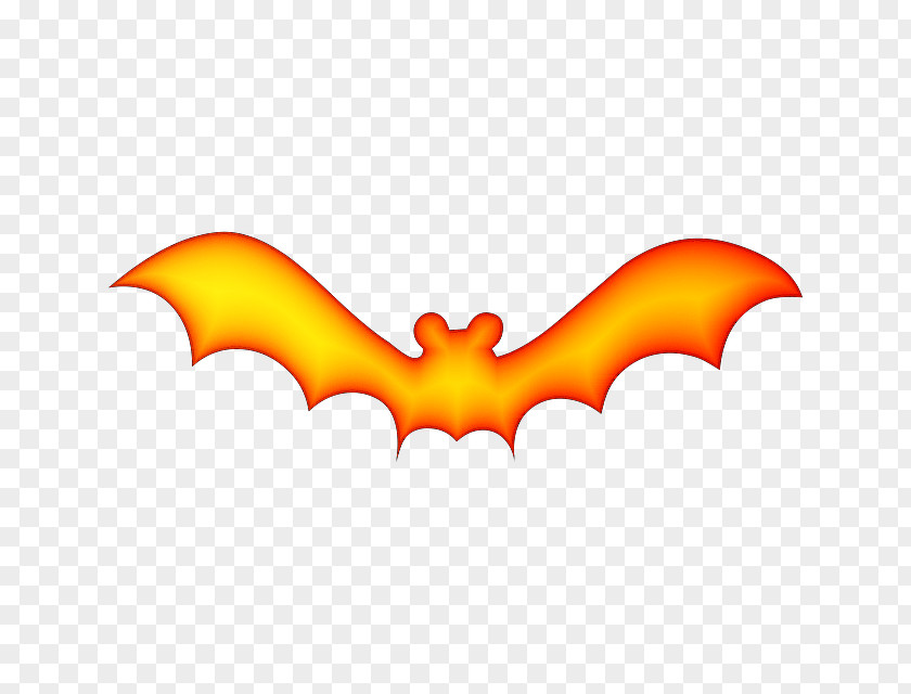 Zoom Bat Photography Clip Art PNG