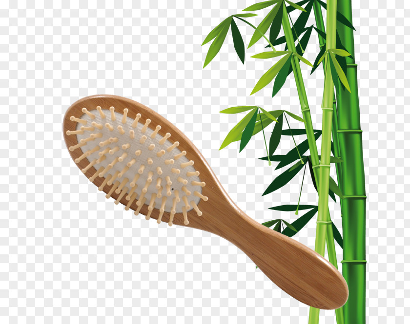 Baboo Towel Hairbrush Tropical Woody Bamboos Bathroom PNG
