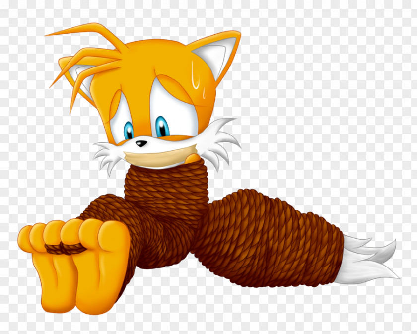 Fox Whiskers Cat Tails PNG