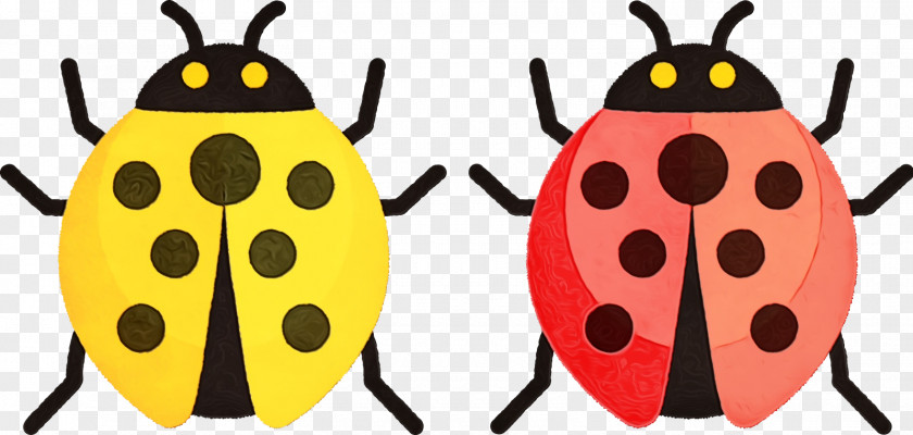 Ladybird Beetle Beetles Yellow Pattern Membrane PNG