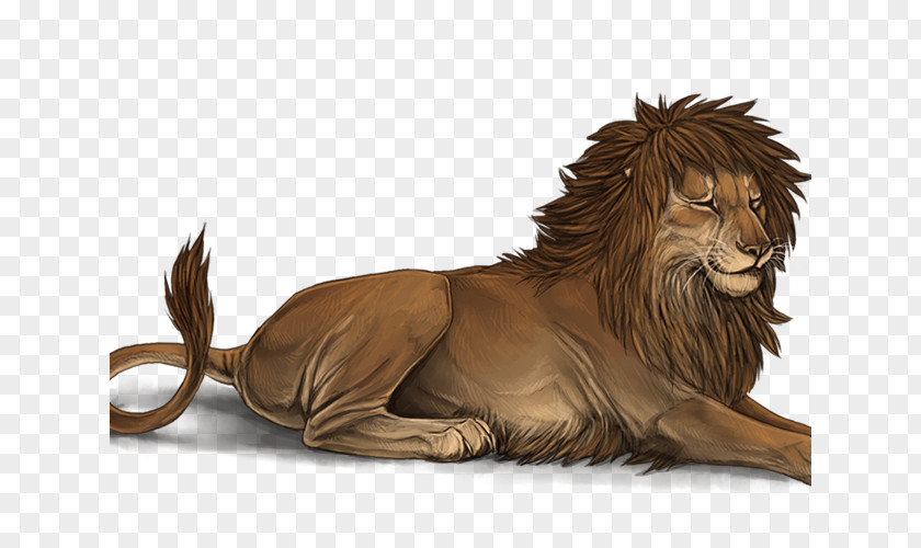 Lion Roar Male Mating Cat PNG