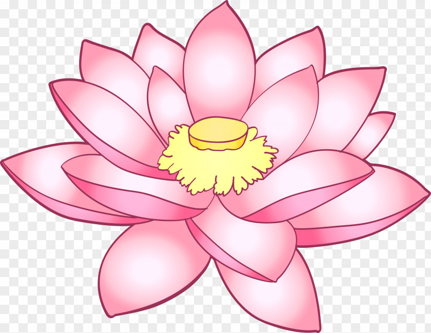 Lotus Flower PNG