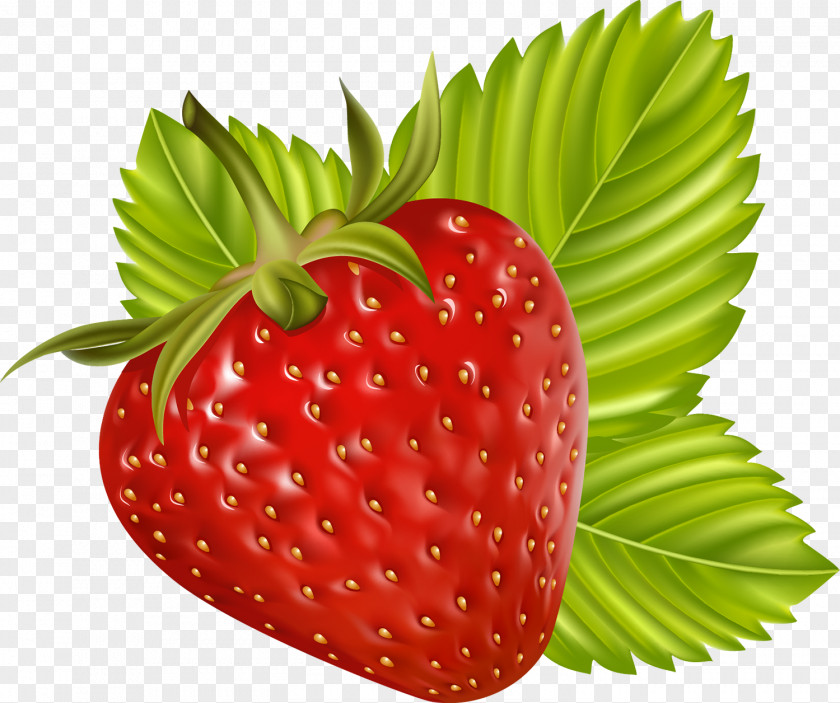 Strawberry Smoothie Juice Shortcake PNG
