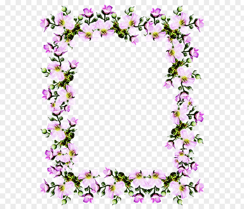 Wildflower Petal Background Flower Frame PNG