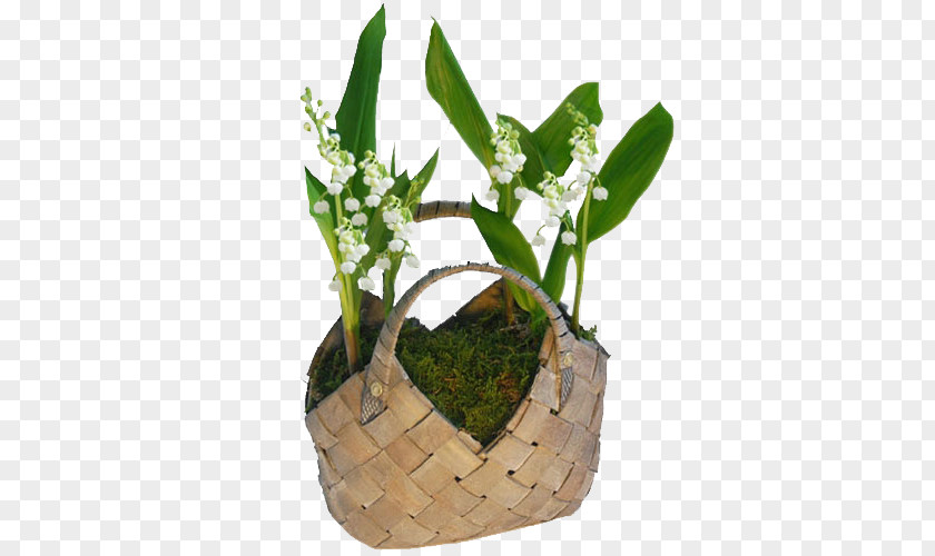 Bamboo Basket Plant Flower Letter PNG